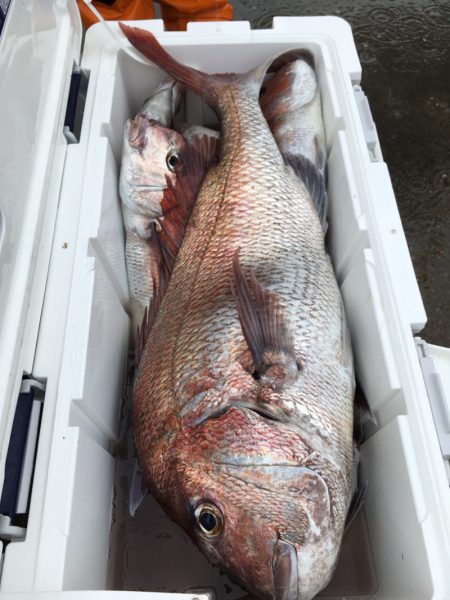 第二八坂丸 釣果