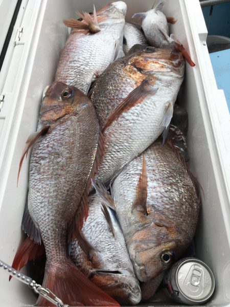 第二八坂丸 釣果