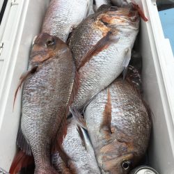 第二八坂丸 釣果