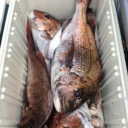 第二八坂丸 釣果