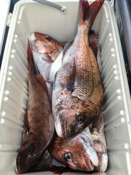 第二八坂丸 釣果