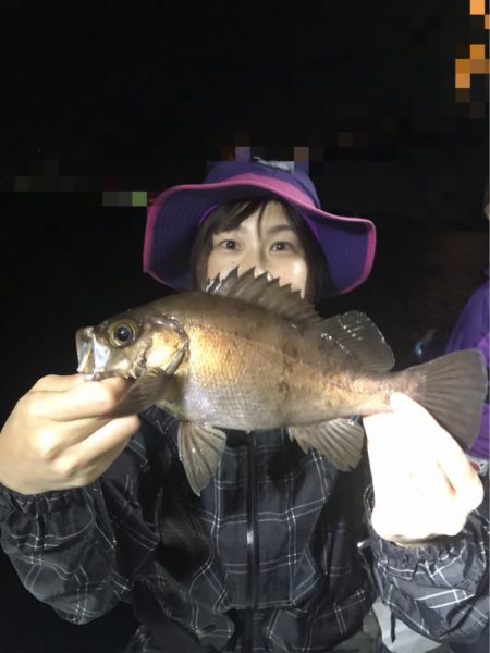 遊漁船メテオ 釣果