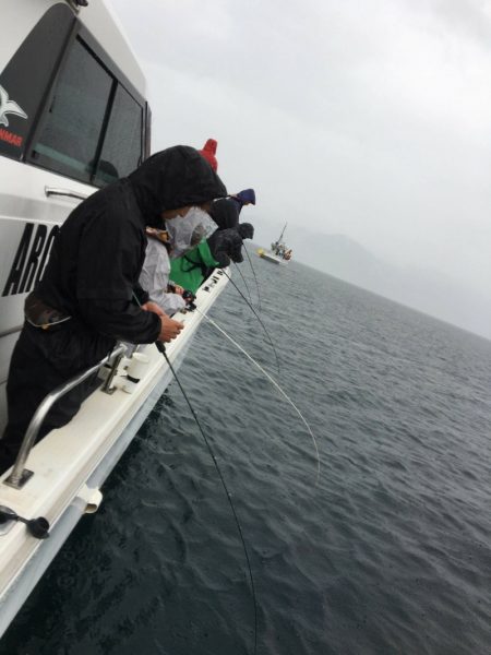 ARCADIAⅡ (アルカディアⅡ) 釣果