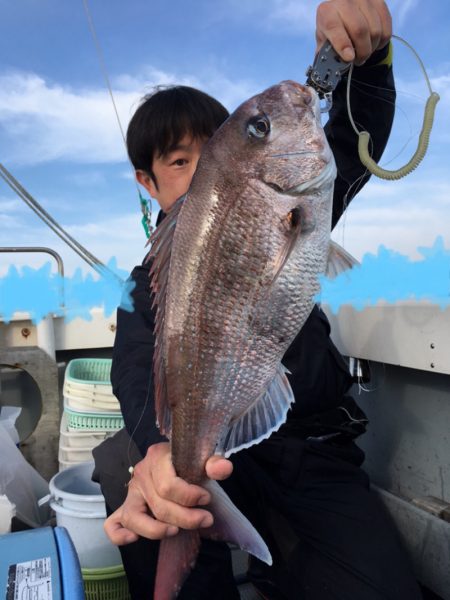 エヌスタイル 釣果