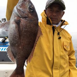 エヌスタイル 釣果