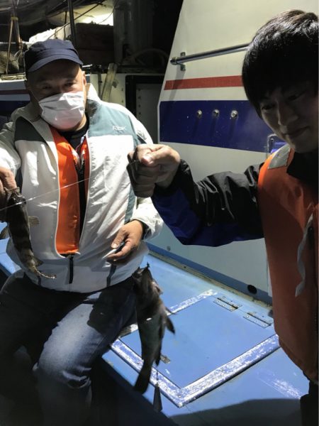 ヤザワ渡船 釣果