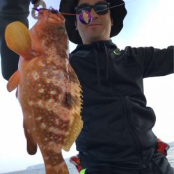 末広丸(熊本) 釣果