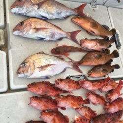 末広丸(熊本) 釣果