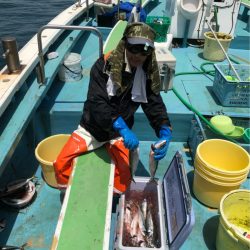 丸万釣船 釣果