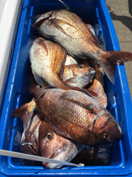 第二八坂丸 釣果