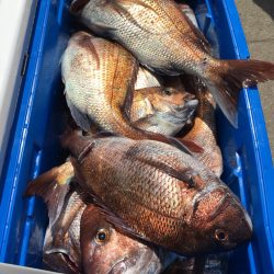 第二八坂丸 釣果