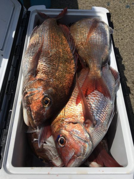 第二八坂丸 釣果