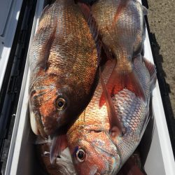 第二八坂丸 釣果