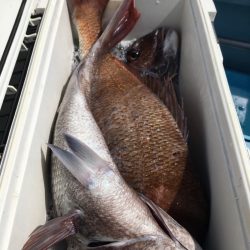 第二八坂丸 釣果