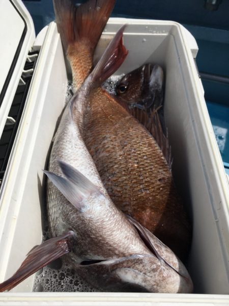 第二八坂丸 釣果