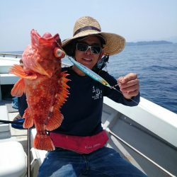 エンペラー 釣果