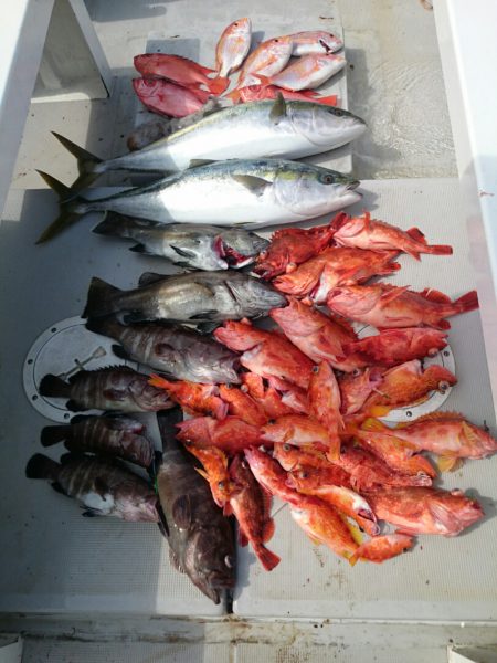 エンペラー 釣果