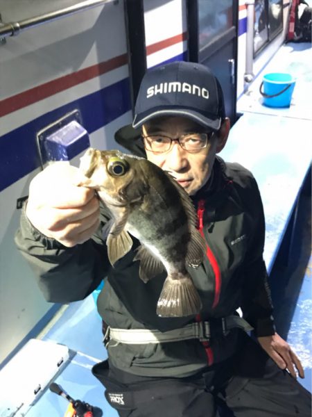 ヤザワ渡船 釣果
