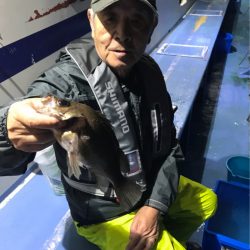 ヤザワ渡船 釣果