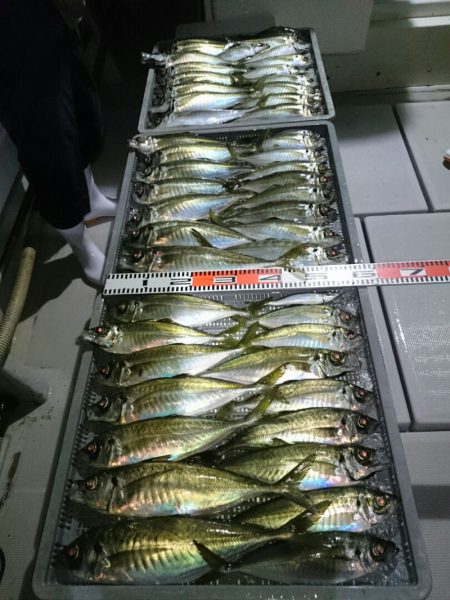 エンペラー 釣果