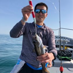 ＴＡＲＯＭＡＲＵ 釣果