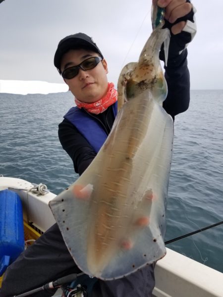 ソルトウォーターガイドフレンズ 釣果