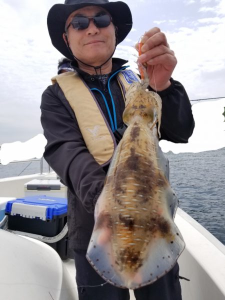 ソルトウォーターガイドフレンズ 釣果