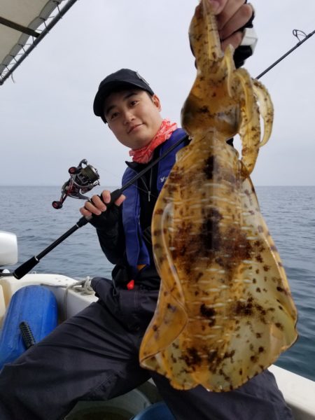 ソルトウォーターガイドフレンズ 釣果