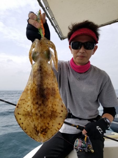 ソルトウォーターガイドフレンズ 釣果