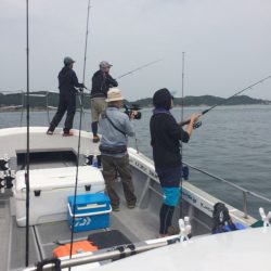 SeaRide(シーライド) 釣果