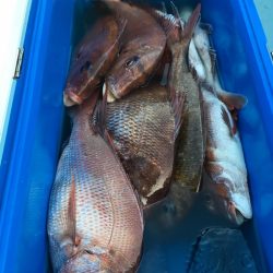 第二八坂丸 釣果