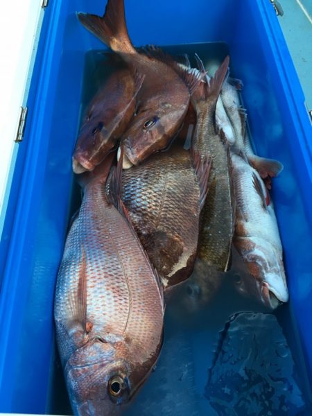 第二八坂丸 釣果