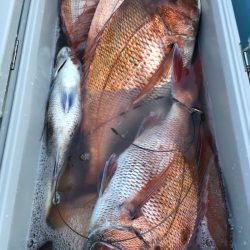 第二八坂丸 釣果