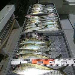 エンペラー 釣果