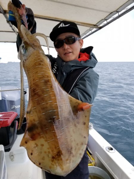 ソルトウォーターガイドフレンズ 釣果