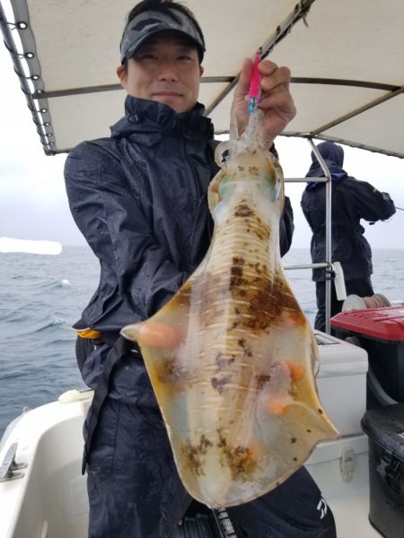 ソルトウォーターガイドフレンズ 釣果