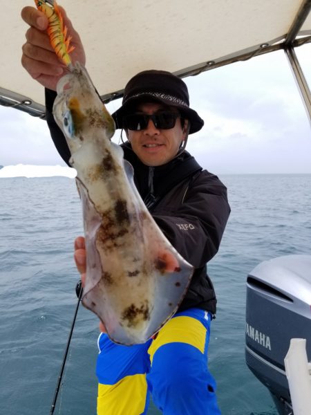 ソルトウォーターガイドフレンズ 釣果