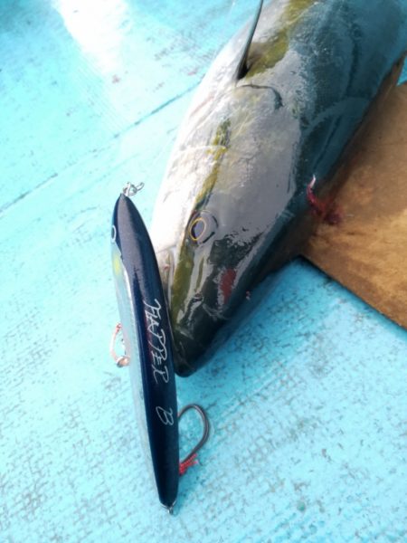 アマテラス 釣果