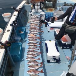 第二八坂丸 釣果