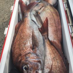 第二八坂丸 釣果