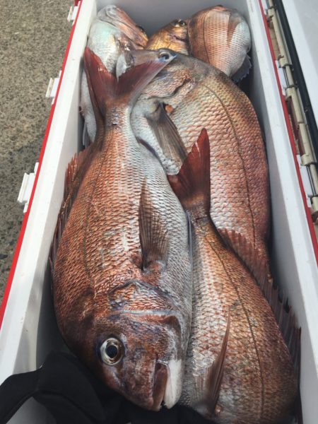 第二八坂丸 釣果