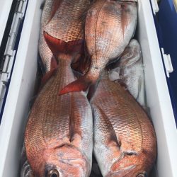 第二八坂丸 釣果