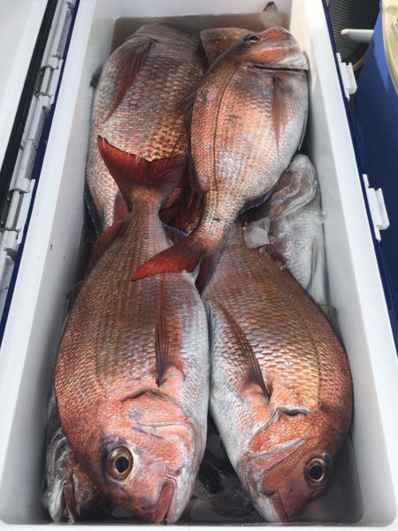 第二八坂丸 釣果