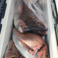 第二八坂丸 釣果