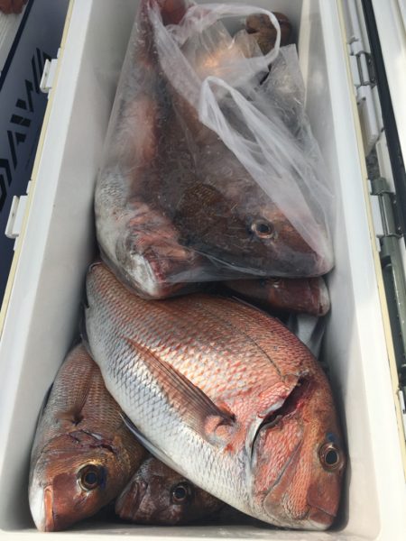 第二八坂丸 釣果