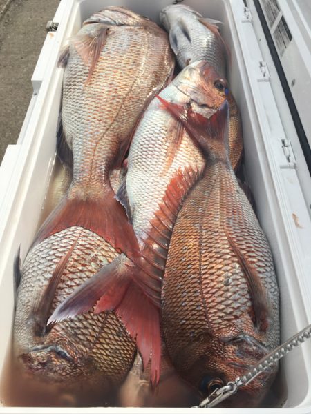 第二八坂丸 釣果