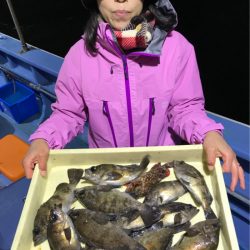 ヤザワ渡船 釣果