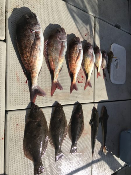 遊漁船メテオ 釣果