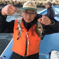 ヤザワ渡船 釣果