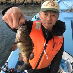 ヤザワ渡船 釣果